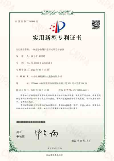 實(shí)用新型專(zhuān)利3