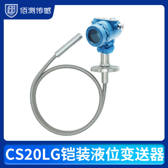 CS20LG鎧裝液位變送器